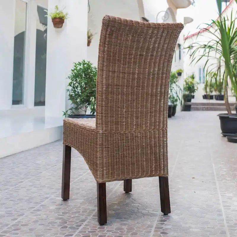 Chaise de salle à manger Campbell en rotin tissé et acajou (ensemble de 2)